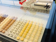 -BLACKSWAN黑天鹅(环球店)