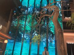 -桂满陇·海市蜃楼·黑金(国金店)