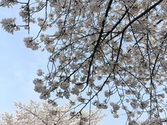 -苏州上方山国家森林公园