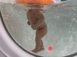 -爱婴岛婴儿游泳馆(水口汇乐城店)