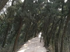 -金堂县云顶石城风景区