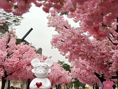 -东莞松山湖万象汇