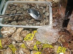 -和源祥·日照菜扛把子(万平口一店)