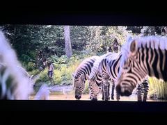 -首都电影院(金融街店 杜比全景声)