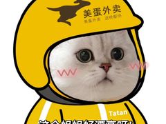 -瑞派天使宠物医院·神经外科·骨科·核磁(洛川中路店)