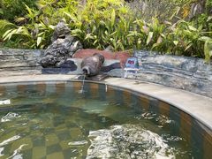 -剑河仰阿莎温泉小镇