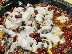 -金三可市井水煮鱼(金碧园店)