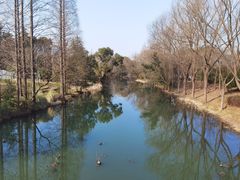 -昆山城市生态森林公园