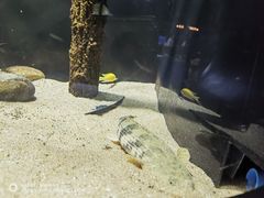 -重庆欢乐海底世界