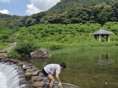 -广州市石门国家森林公园
