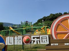-大屏嶂森林公园