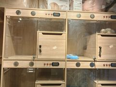 -PETKIT小佩宠物·低压洗护(国顺东路店)