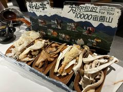 -芸山季·云南山珍菌火锅(南翔印象城MEGA店)