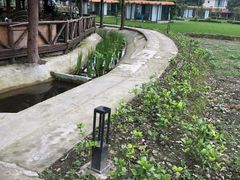 -洪湖家庭农场·团建·露营·会议