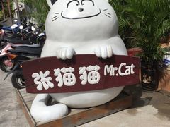 -张猫猫爱吃鱼