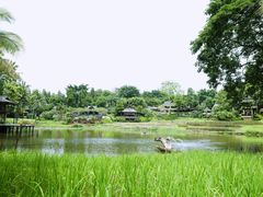 -四季酒店下午茶