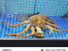 -77号渔船·蒸海鲜青岛菜(积米崖店)