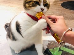 -小时光咖啡馆(开森度假森林店)