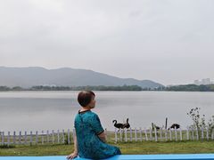 -长兴太湖图影湿地文化园