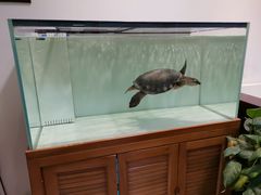 -星巴克(上海南站店)