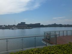 -东方美谷JW万豪酒店·The lounge大堂吧