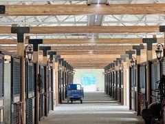 -北京群众马术培训基地