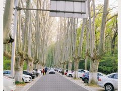-钟山体育运动公园