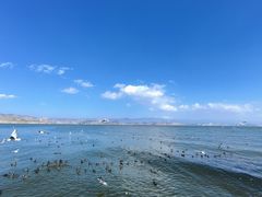 -大理洱海