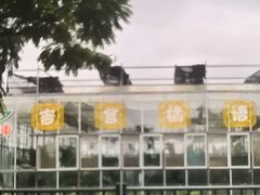 -前小桔亲子创意农场·草莓采摘·露营烧烤
