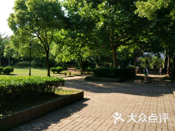 永和公园图片 - 第7张