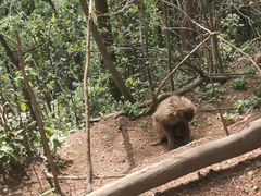 -黔灵山公园