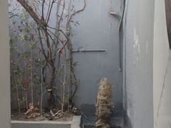 -后海16号·北京私房菜