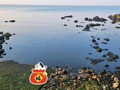 -养马岛旅游度假区