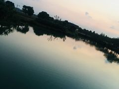 -瑶湖郊野森林公园