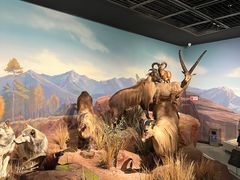 -陕西自然博物馆