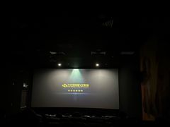 -大光明丽星VIP影城(昌里路杜比全景声店)