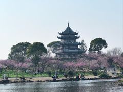 -上海海湾国家森林公园