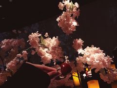 樱花冰激凌-地球美食剧场