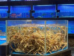 水产区-徐记海鲜(大明宫|北二环店)