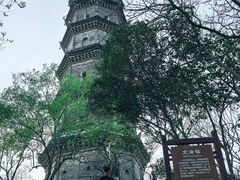 -巢湖姥山岛