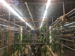 -荔城生鲜盛宴(番禺旗舰店)