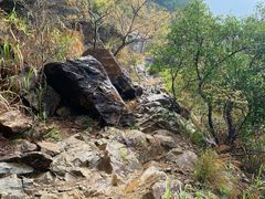 -梧桐山风景名胜区