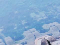 -星海广场
