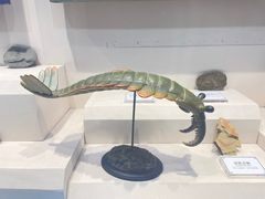 -辽宁古生物博物馆
