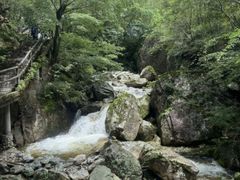 -牛背梁国家森林公园