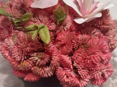 -田园·晶品会(鹤庆路店)