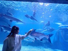 -多彩贵州城极地海洋世界