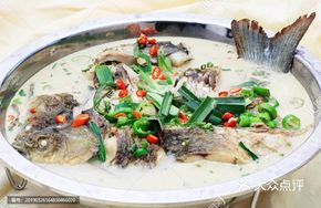 Dongjiang Reservoir Fish