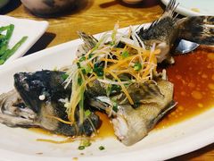 清蒸石斑鱼（600-700克）-南海渔家•海鲜•正宗海南菜(海棠湾店)