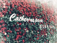 -UNI UNI(环亚凯瑟琳店)